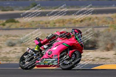 media/Oct-08-2023-CVMA (Sun) [[dbfe88ae3c]]/Race 2 Supersport Middleweight (Shootout)/